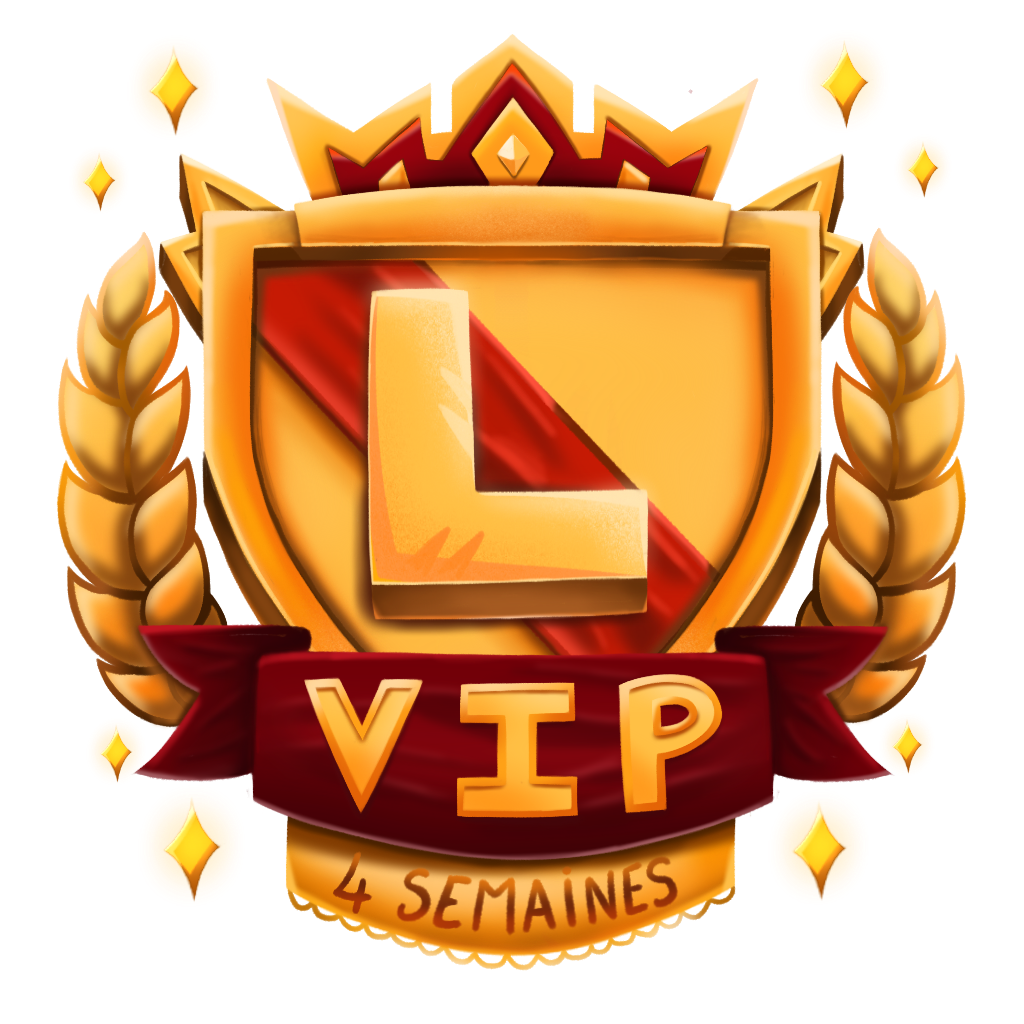Pack VIP 4 (4 semaines)
